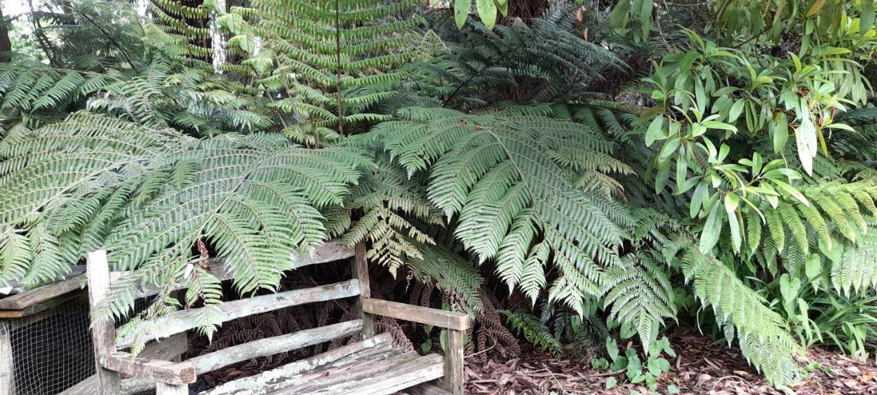 Earthsounds Country Cottage Taumarunui Eksteriør billede