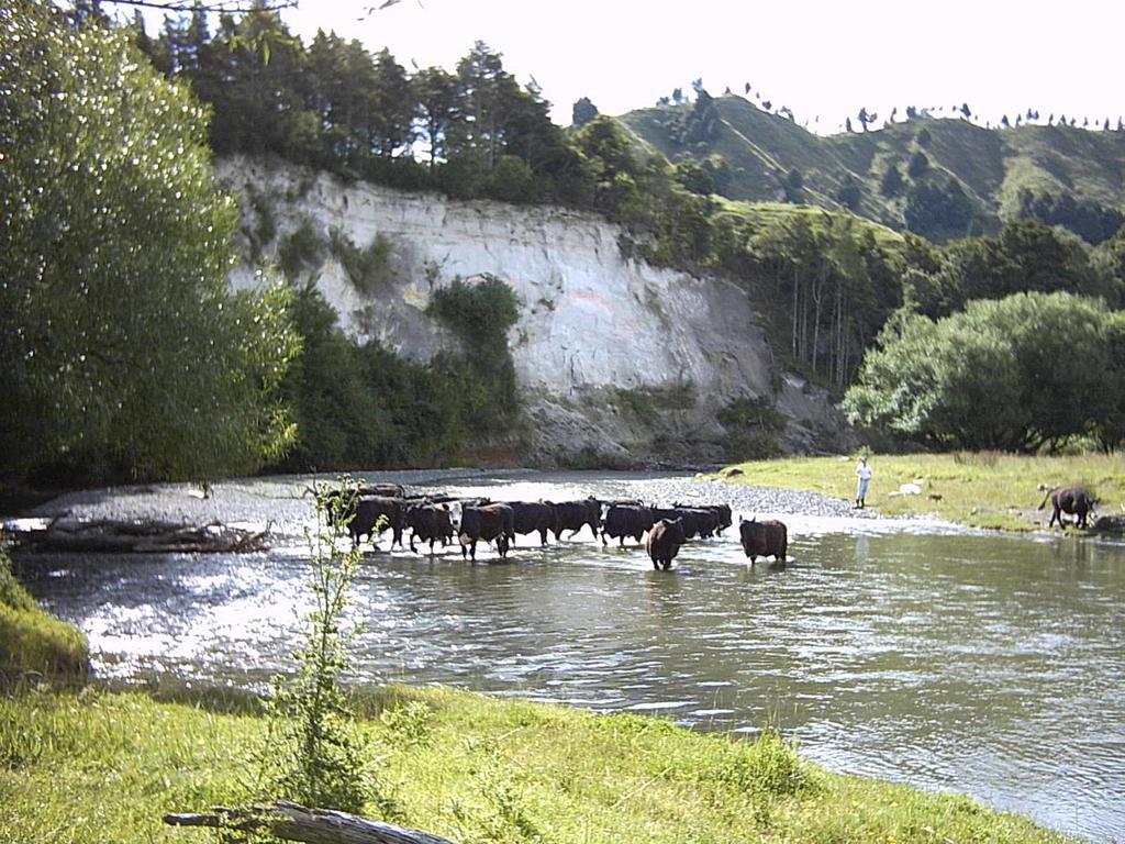 Earthsounds Country Cottage Taumarunui Eksteriør billede
