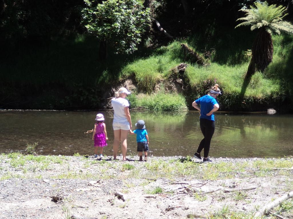 Earthsounds Country Cottage Taumarunui Værelse billede